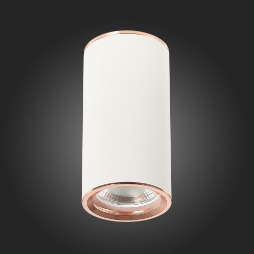 ST111.527.01 Светильник потолочный Белый GU10 1*50W D54xH105 220V Без ламп Накладные светильники фото 3