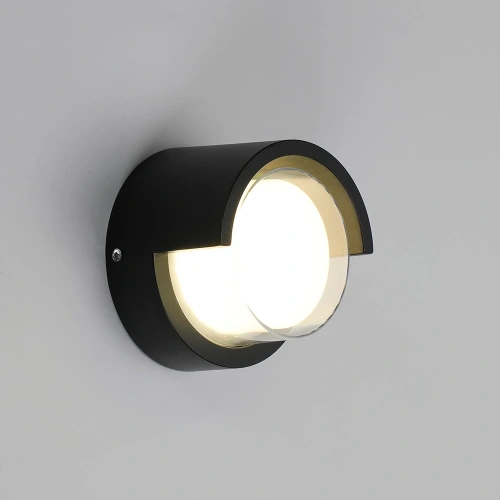 Уличный настенный светильник Arte Lamp ULYSSES A8909AL-1BK фото 2