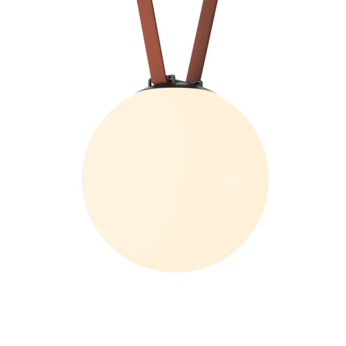 Светильник на шине Denkirs BELTY ORB | БЕЛТИ ОРБ DK5555-BK фото 5 Светильник на шине Denkirs BELTY ORB | БЕЛТИ ОРБ DK5555-BK фото 5