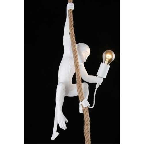 Светильник подвесной APL.309.06.01 фото 11 Светильник подвесной APL.309.06.01 фото 11