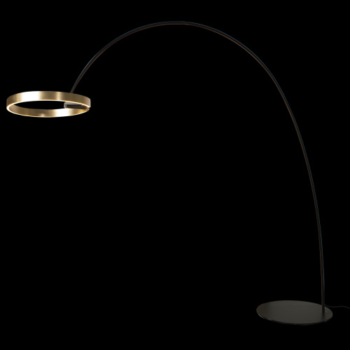 10027 Торшер LOFT IT Ring фото 3 10027 Торшер LOFT IT Ring фото 3