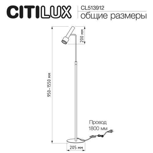 Citilux VEKTOR CL513912 Торшер с поворотным плафоном Латунь фото 14