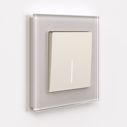 Выключатель одноклавишный с подсветкой (айвори матовый) W1110162 фото 2 Выключатель одноклавишный с подсветкой (айвори матовый) W1110162 фото 2