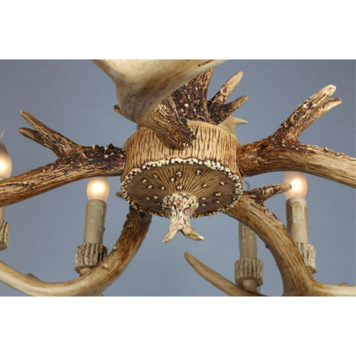 Люстра подвесная OML-52003-10 фото 7 Люстра подвесная OML-52003-10 фото 7