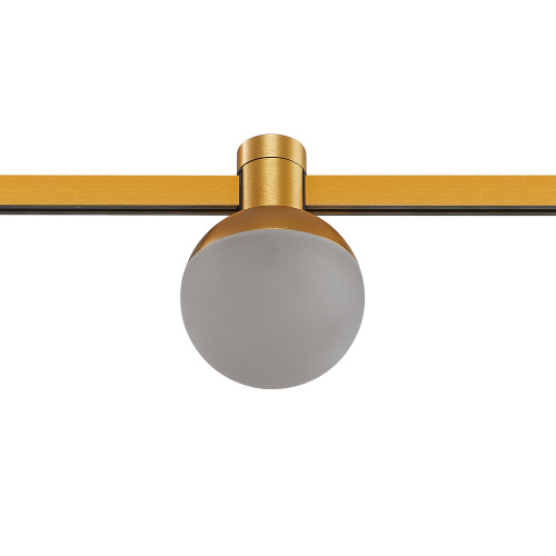 ST815.206.05 Магнитный трековый светильник FARM Золотистый LED 1*5W 3000K 89Lm Ra90 120 IP20 D75xH10 FARM фото 2