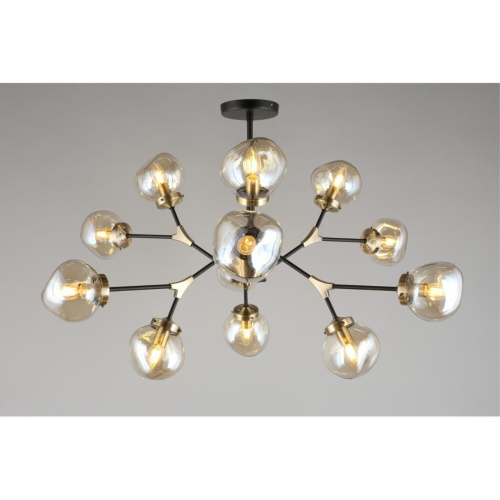 Люстра потолочная OML-95107-12 фото 4