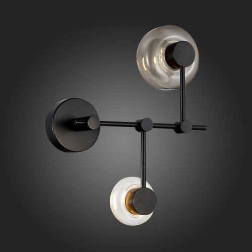 SL6005.401.02 Светильник настенный ST-Luce Черный/Дымчатый, Прозрачный LED 2*3W 3000K VALLO фото 6