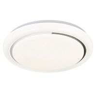 Потолочный светильник Escada 10227/SG LED*48W White APP