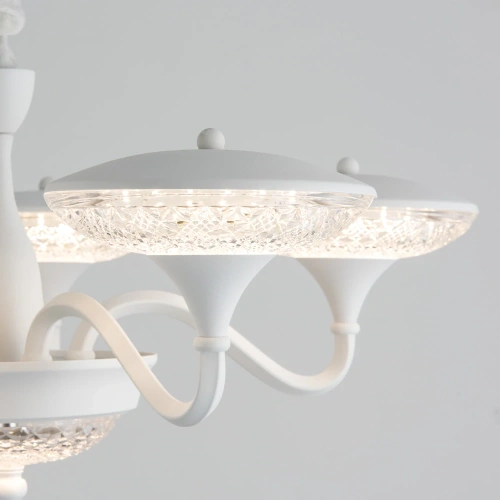 Подвесная люстра Arte Lamp BERN A5168LM-5WH фото 3 Подвесная люстра Arte Lamp BERN A5168LM-5WH фото 3
