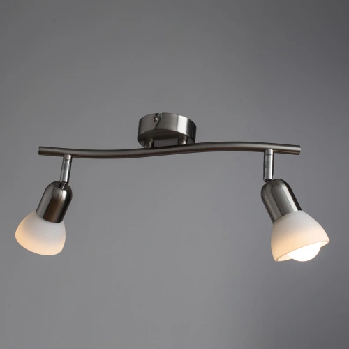 Спот Arte Lamp FALENA A3115PL-2SS фото 2