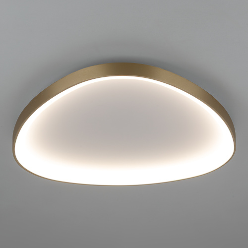 Citilux GENKA SMART CL756A162 LED Умная люстра фото 6 Citilux GENKA SMART CL756A162 LED Умная люстра фото 6