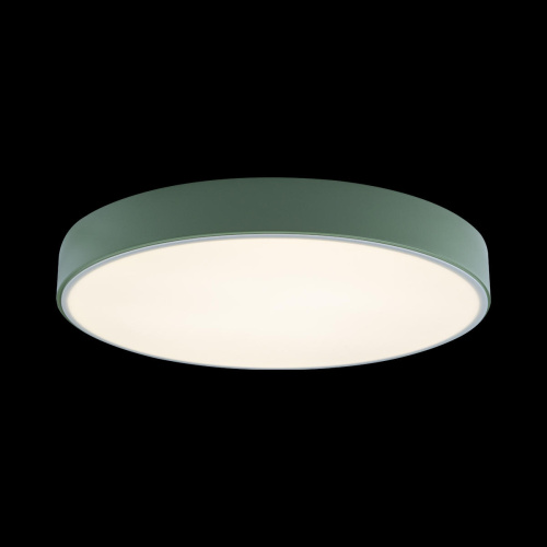 10002/24 Green Потолочный светильник LOFT IT Axel фото 2