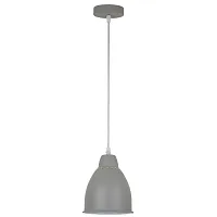Подвесной светильник Arte Lamp BRACCIO A2054SP-1GY