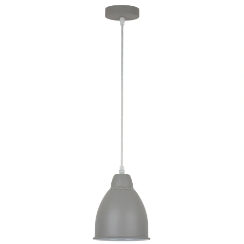 Подвесной светильник Arte Lamp BRACCIO A2054SP-1GY Подвесной светильник Arte Lamp BRACCIO A2054SP-1GY