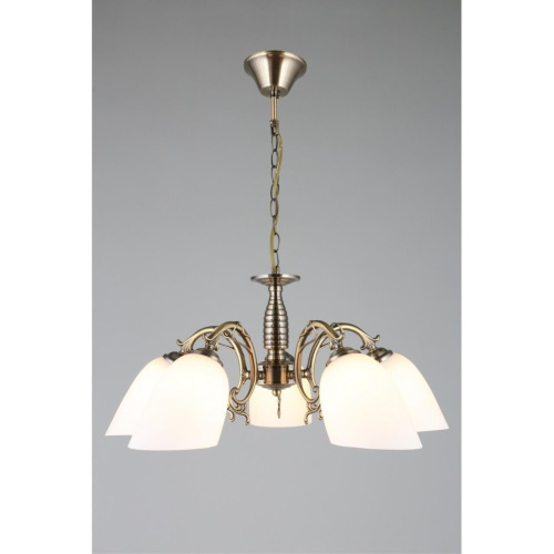 Люстра подвесная OML-56407-05 фото 4