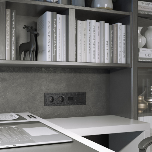 Накладка для двойной розетки Еthernet RJ-45 (Hammar черный) W1291108 фото 2