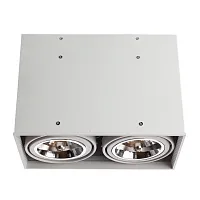 Точечный накладной светильник Arte Lamp CARDANI GRANDE A5936PL-2WH