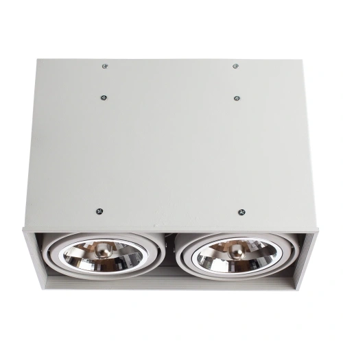 Точечный накладной светильник Arte Lamp CARDANI GRANDE A5936PL-2WH Точечный накладной светильник Arte Lamp CARDANI GRANDE A5936PL-2WH