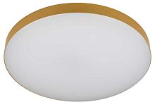 Светильник потолочный светодиодный ЭРА Классик с ДУ Relict 48 Pult SPB-6-60-RC MG 60Вт 3000-6500К Золото Б0059498