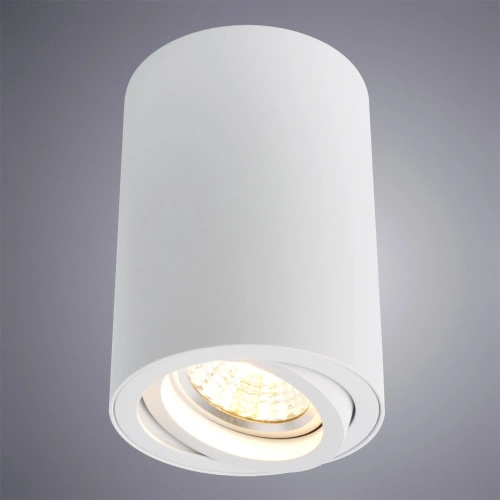 Точечный накладной светильник Arte Lamp SENTRY A1560PL-1WH фото 2