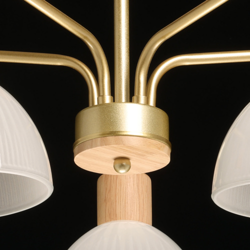 Люстра потолочная De City Dela 635016405 фото 9 Люстра потолочная De City Dela 635016405 фото 9