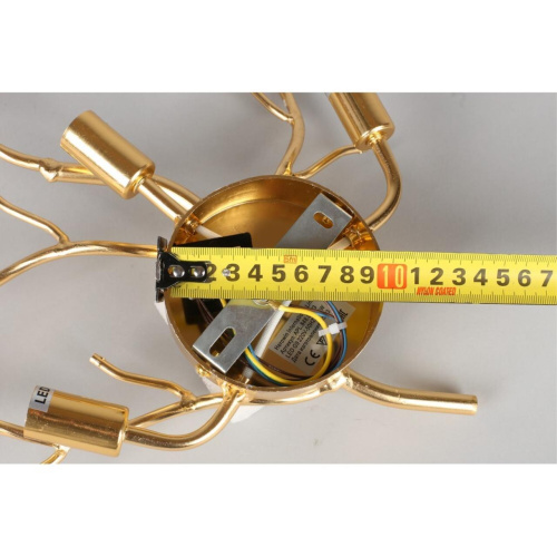 Светильник настенный (Бра) APL.848.01.03 фото 9 Светильник настенный (Бра) APL.848.01.03 фото 9