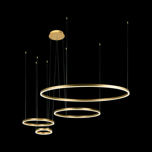 10017/4S Подвесной светильник LOFT IT Ring фото 4