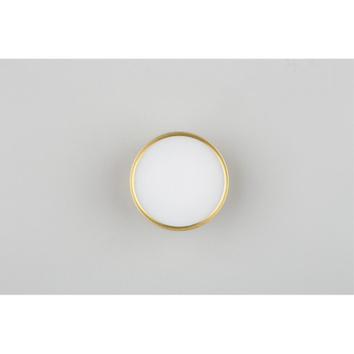 Светильник встраиваемый-накладной OML-100929-06 фото 5