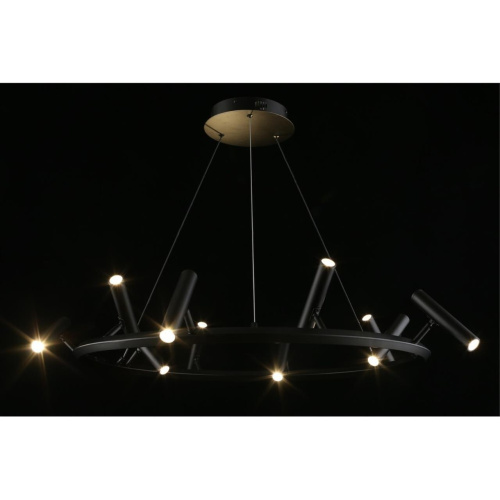 Люстра подвесная APL.067.03.50 фото 13