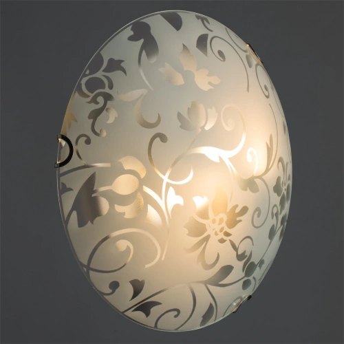 Потолочный светильник Arte Lamp ORNAMENT A4120PL-2CC фото 2 Потолочный светильник Arte Lamp ORNAMENT A4120PL-2CC фото 2