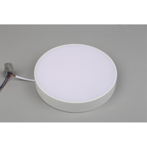 Светильник настенно-потолочный APL.0113.09.24 фото 5 Светильник настенно-потолочный APL.0113.09.24 фото 5