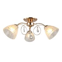 Люстра потолочная OML-29007-03