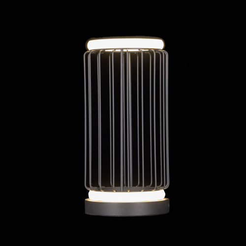 Настольная лампа DeMarkt Айсфельд 655031001 фото 4