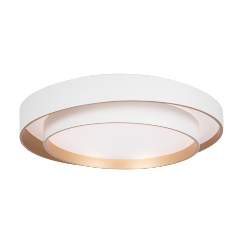 Потолочный светильник Freya FR6085CL-L72WG Потолочный светильник Freya FR6085CL-L72WG
