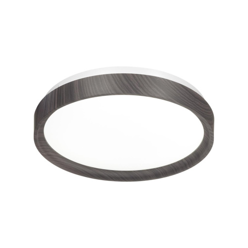 7627/CL PALE SN 000 Светильник пластик/белый/венге под дерево LED 30Вт 4000К D330 IP43 WOODI фото 4