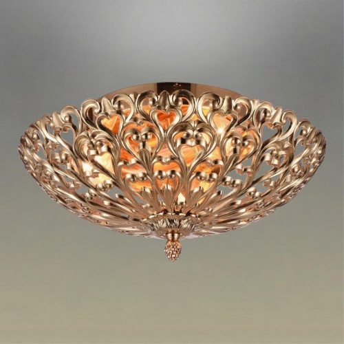 Люстра потолочная OML-75907-02 фото 3 Люстра потолочная OML-75907-02 фото 3