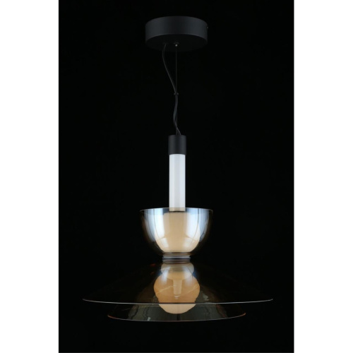 Светильник подвесной APL.772.06.12 фото 13 Светильник подвесной APL.772.06.12 фото 13