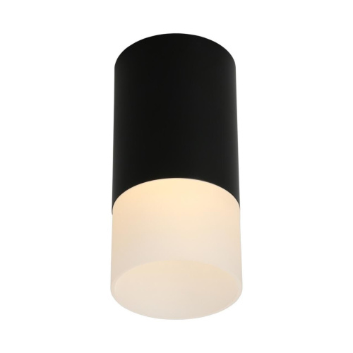 Светильник встраиваемый-накладной OML-100619-01 Светильник встраиваемый-накладной OML-100619-01