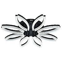 Потолочный светильник 100013/8C LED*157W Black