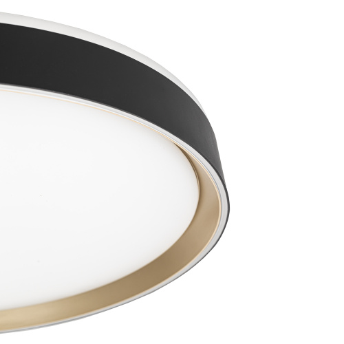 Citilux BOSS CL751451G LED RGB Светильник с пультом Чёрный с Золотом фото 8 Citilux BOSS CL751451G LED RGB Светильник с пультом Чёрный с Золотом фото 8