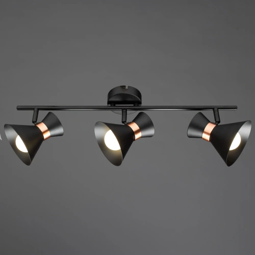 Спот Arte Lamp BALTIMORE A1406PL-3BK фото 2