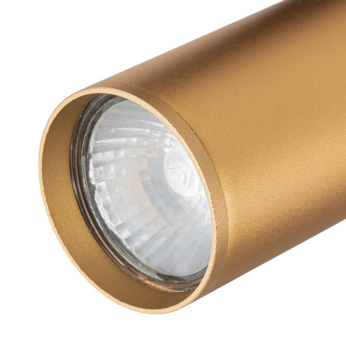 Трек Escada 20001TRA/01 GU10 латунь матовая фото 3