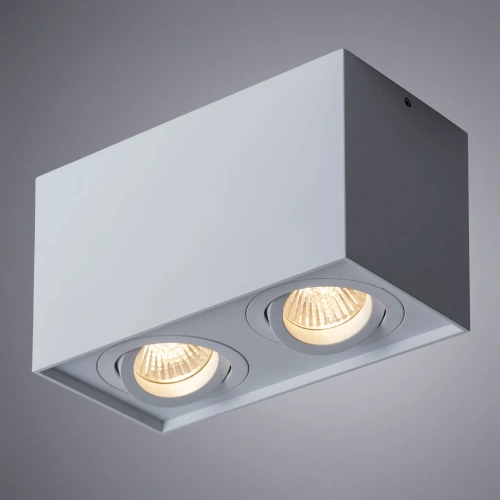 Точечный накладной светильник Arte Lamp FACTOR A5544PL-2WH фото 2