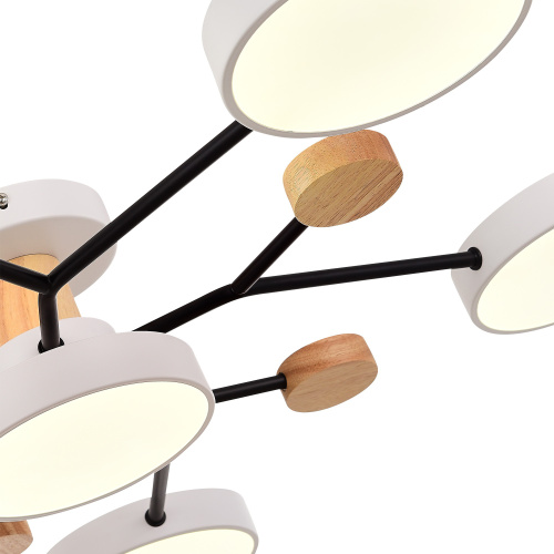 SLE6006-502-06 Светильник потолочный Белый/Белый LED 6*12W 3000K/4500K/6000K FAEMA фото 3