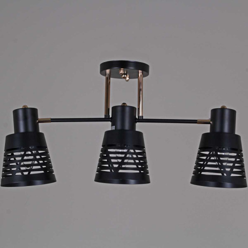 Люстра Reluce 06074-3.3-03 BK+FG фото 2