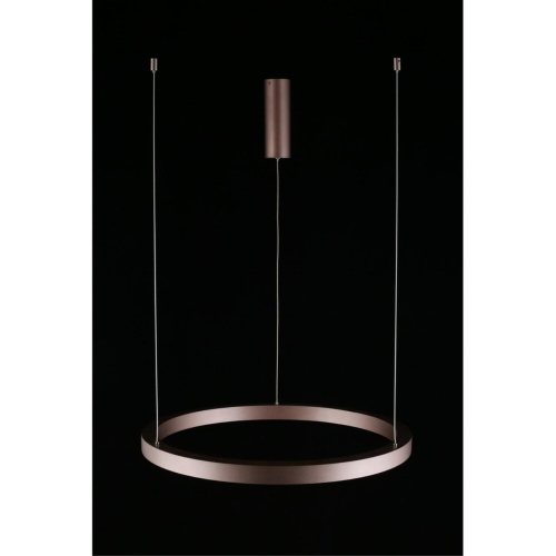 Люстра подвесная APL.025.03.48 фото 12