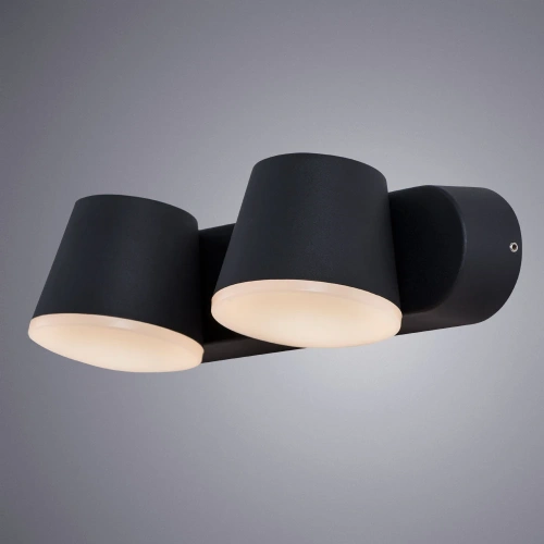 Уличный настенный светильник Arte Lamp CHICO A2212AL-2BK фото 2 Уличный настенный светильник Arte Lamp CHICO A2212AL-2BK фото 2