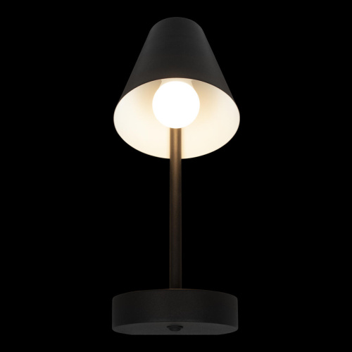 10216/1W Black Настенный светильник LOFT IT Shelf фото 2 10216/1W Black Настенный светильник LOFT IT Shelf фото 2