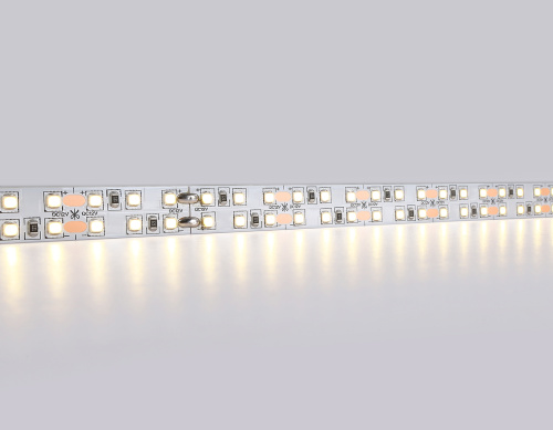 Светодиодная лента двухрядная 12В 2835 240Led 24Вт/м 3000K IP20 5м фото 2