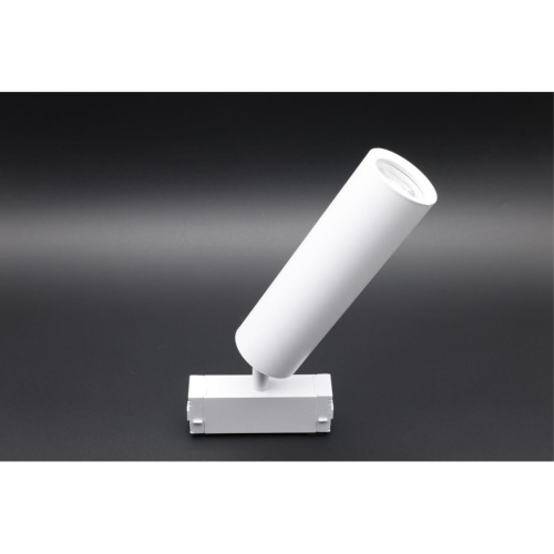 Светильник трековый APL.0210.11.01 фото 12 Светильник трековый APL.0210.11.01 фото 12